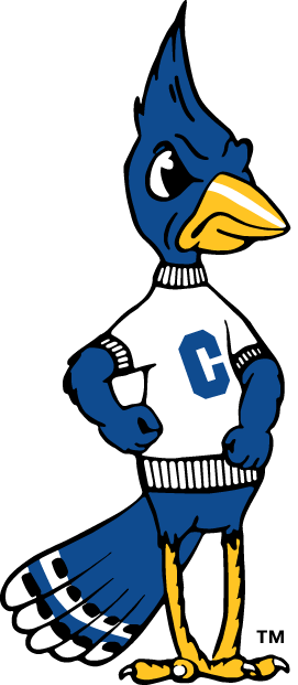 Creighton Bluejays 1999-2012 Alternate Logo v2 diy fabric transfer
